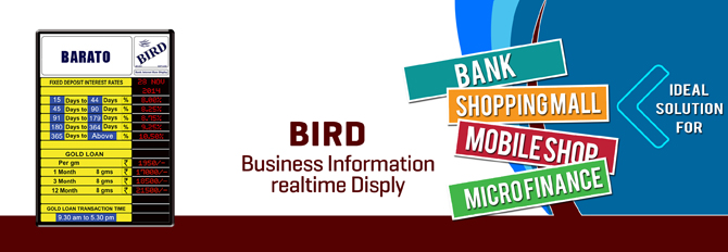 bird